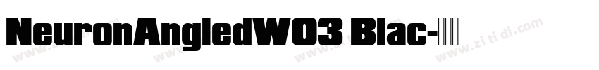 NeuronAngledW03 Blac字体转换